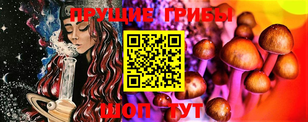 Псилоцибиновые грибы GOLDEN TEACHER  даркнет сайт  Россошь  Псилоцибиновые грибы GOLDEN TEACHER  Вход с VPN 
